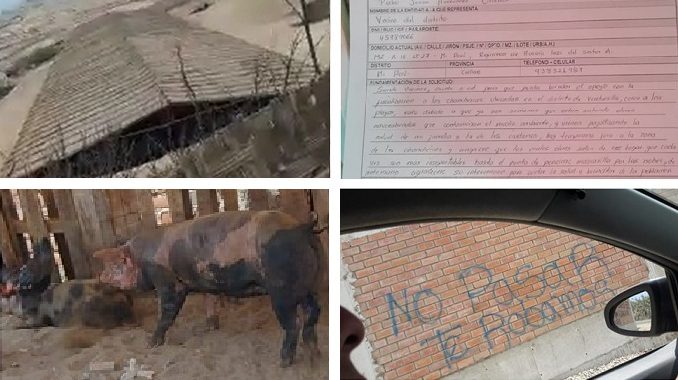 prensa la eskina chancherias insalubres en ventanilla
