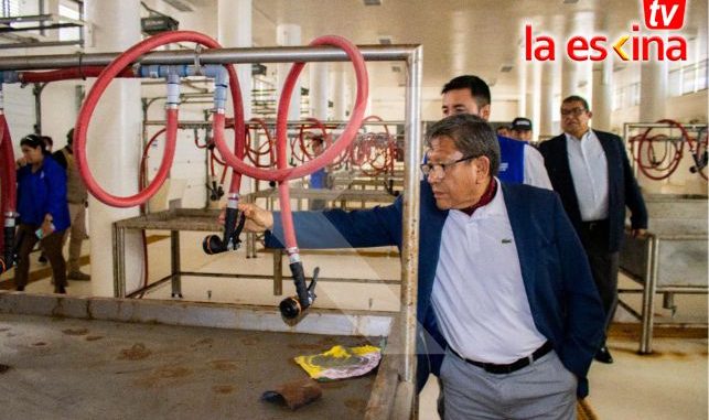 incendio111